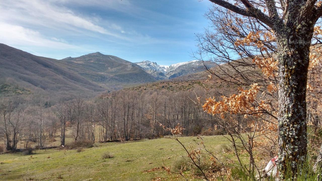 Вілла Al Patio Los Loros Екстер'єр фото